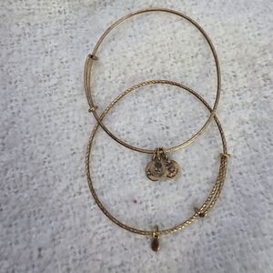 Alex and Ani Gold Charm Bracelet Duo